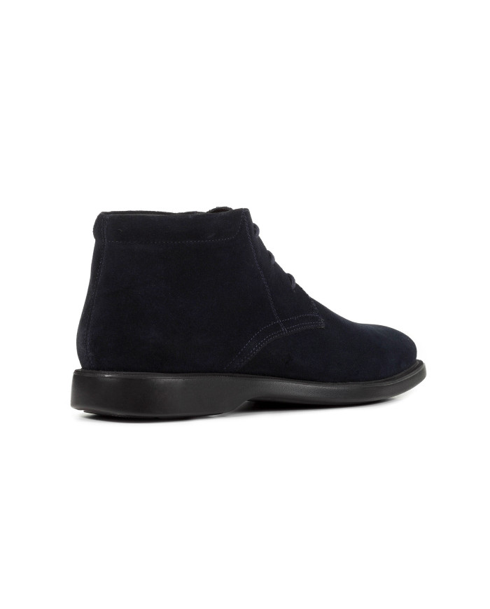 BRAYDEN ABX  BRAYDEN ABX