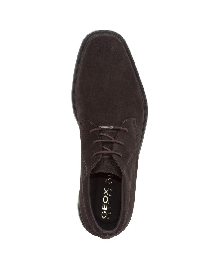 BRAYDEN ABX BRAYDEN ABX