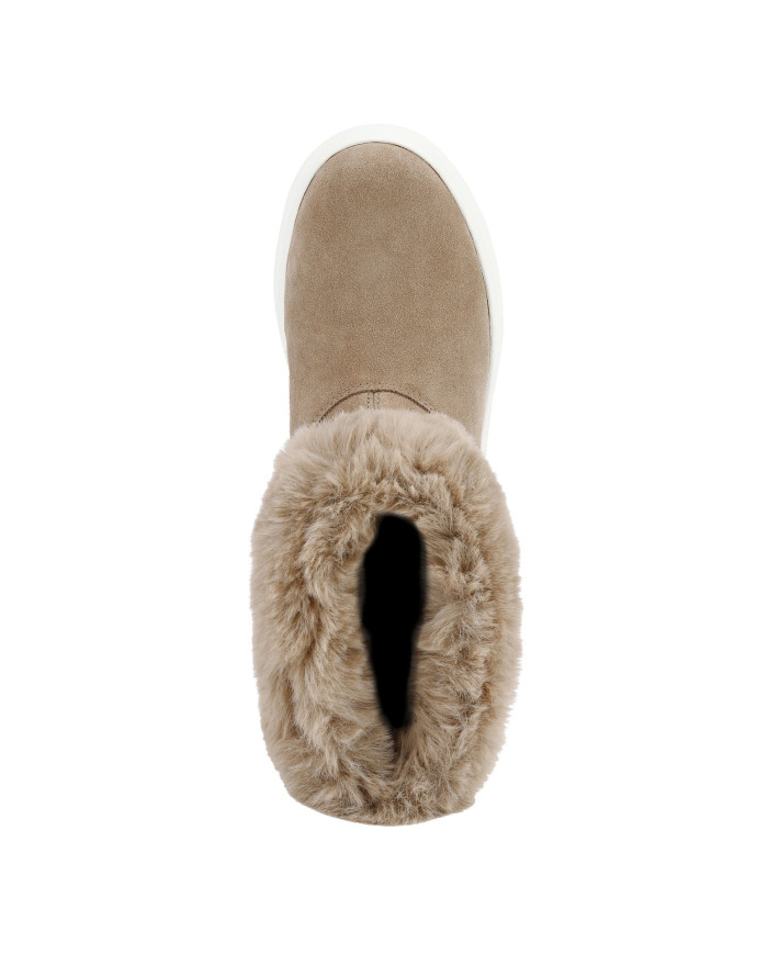 DALYLA ABX  DALYLA ABX