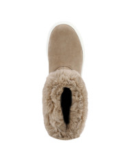 DALYLA ABX  DALYLA ABX