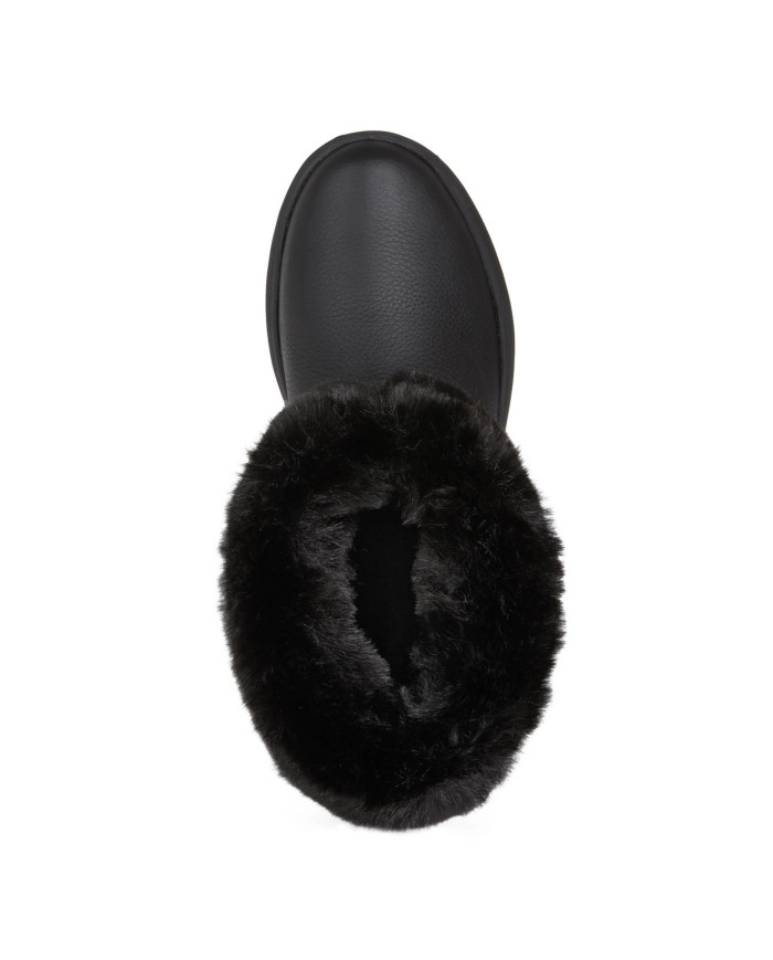 DALYLA ABX DALYLA ABX