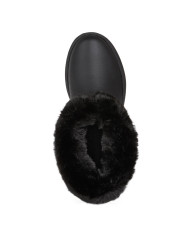 DALYLA ABX DALYLA ABX