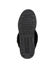 DALYLA ABX DALYLA ABX