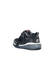 JUNIOR BAYONYC BOY JUNIOR BAYONYC BOY