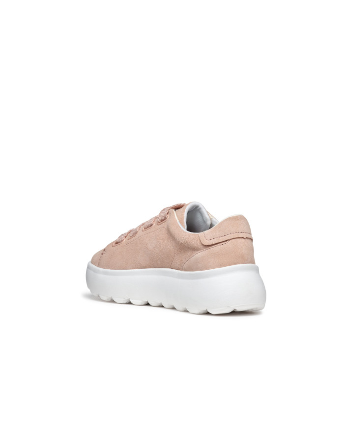 SPHERICA EC4.1 SPHERICA EC4.1