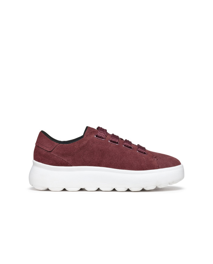 SPHERICA EC4.1 SPHERICA EC4.1