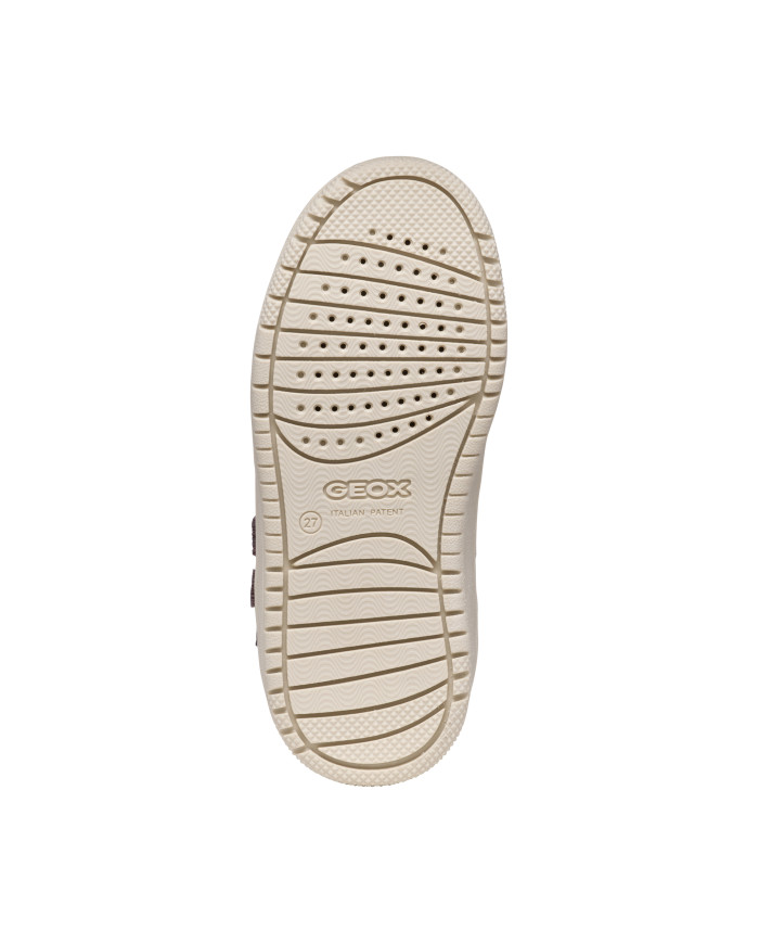 JUNIOR WASHIBA BOY JUNIOR WASHIBA BOY