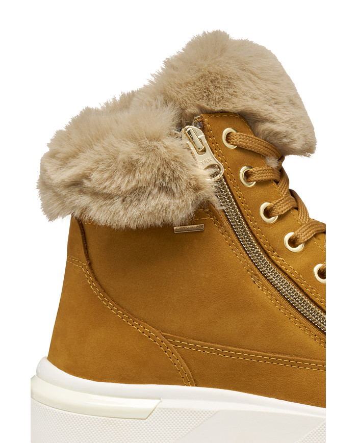 DALYLA ABX DALYLA ABX