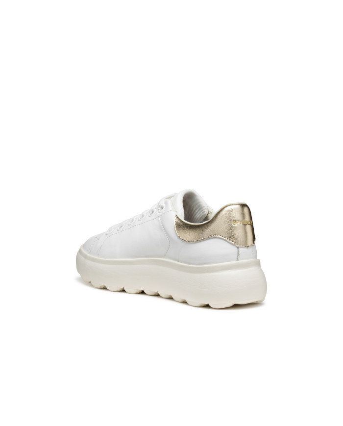 SPHERICA EC4.1 SPHERICA EC4.1