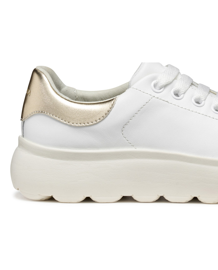 SPHERICA EC4.1 SPHERICA EC4.1