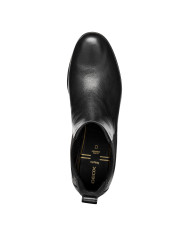 WALK PLEASURE 55C WALK PLEASURE 55C