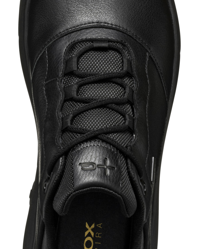 NEBULA ABX NEBULA ABX