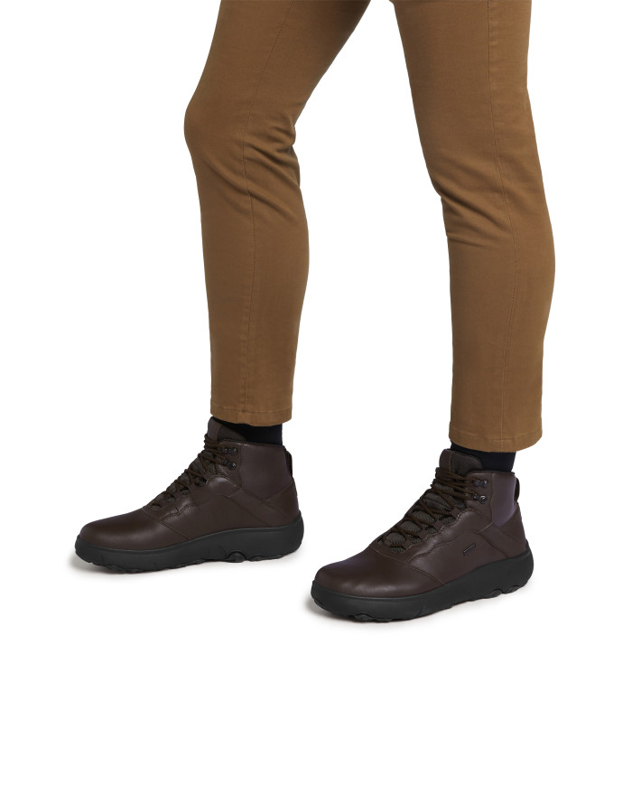 NEBULA ABX NEBULA ABX