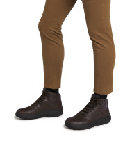 NEBULA ABX NEBULA ABX