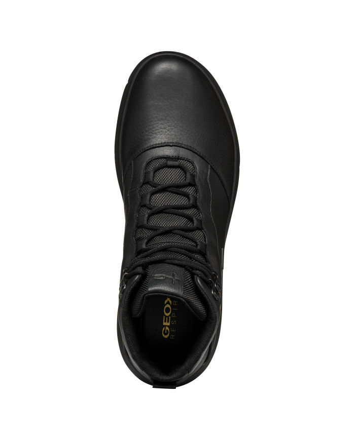 NEBULA ABX NEBULA ABX