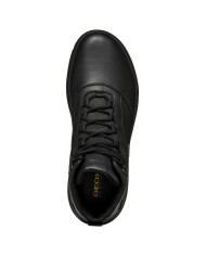 NEBULA ABX NEBULA ABX