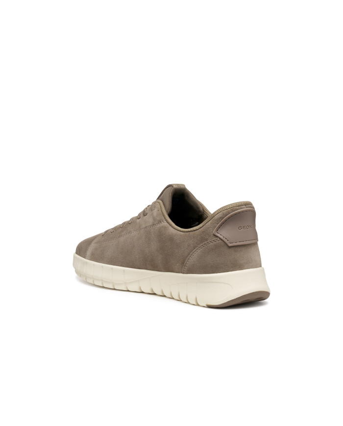 FLEXTRIDE PLUS FLEXTRIDE PLUS