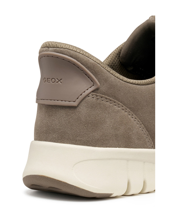 FLEXTRIDE PLUS FLEXTRIDE PLUS