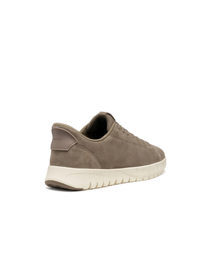 FLEXTRIDE PLUS FLEXTRIDE PLUS