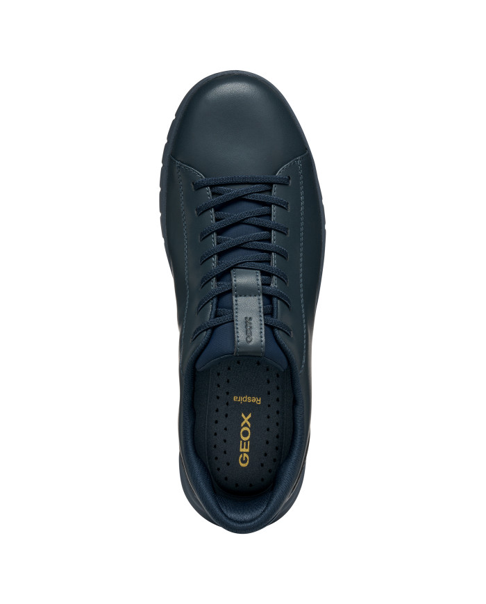 FLEXTRIDE PLUS FLEXTRIDE PLUS